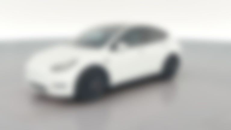 2020 Tesla Model Y vehicle photo