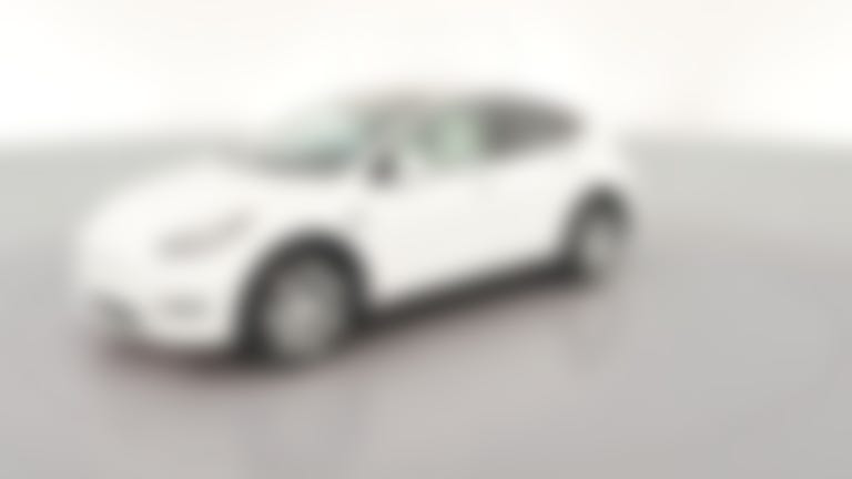 2021 Tesla Model Y vehicle photo