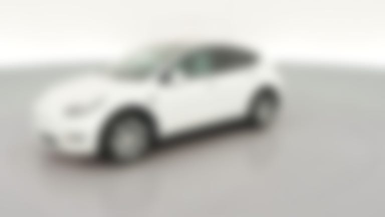 2021 Tesla Model Y vehicle photo