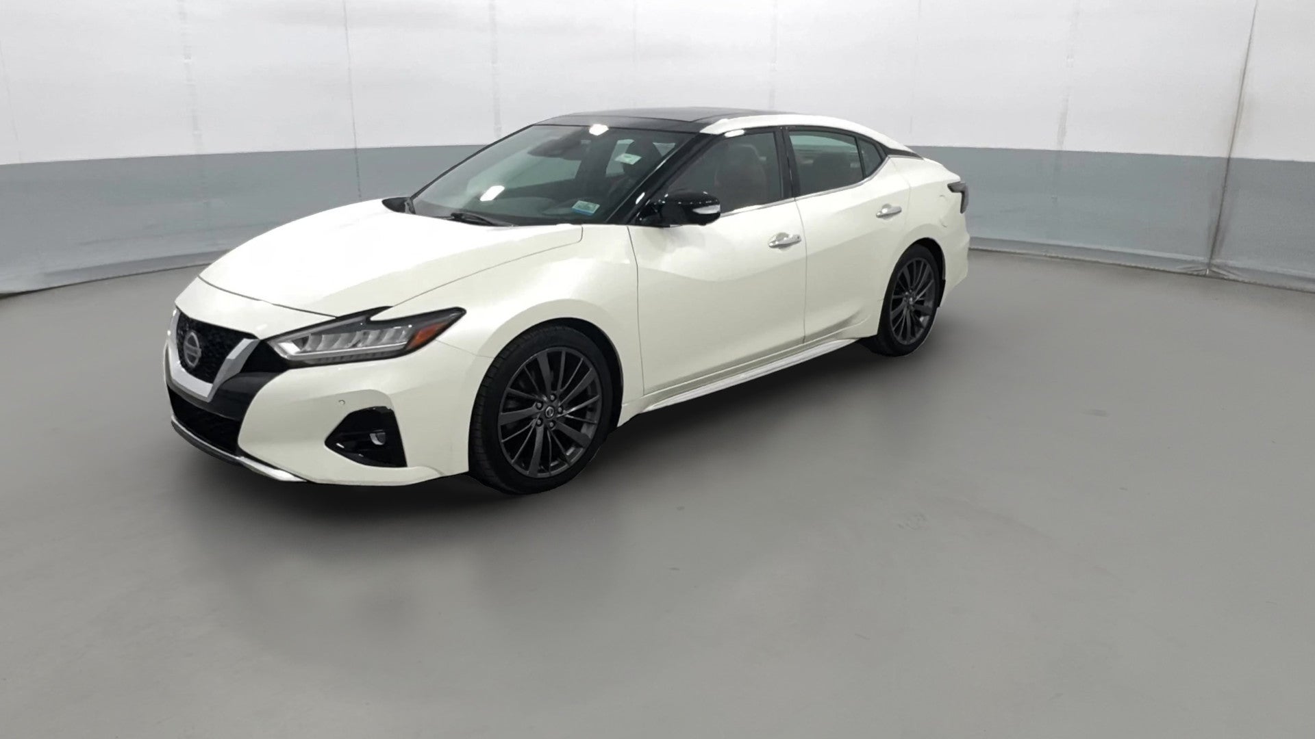 2019 Nissan Maxima vehicle photo