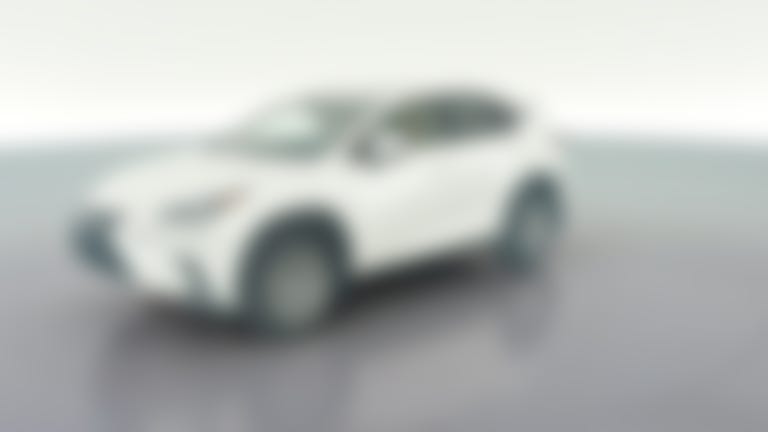 2021 Lexus NX vehicle photo