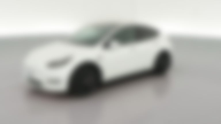 2023 Tesla Model Y vehicle photo