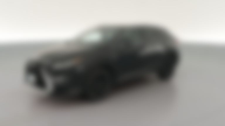 2019 Lexus RX vehicle photo