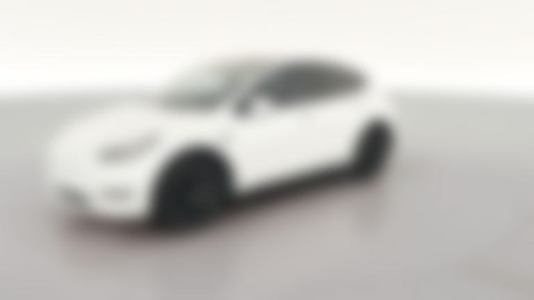 2023 Tesla Model Y vehicle photo