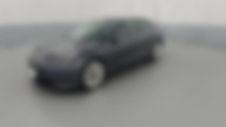 2021 Tesla Model 3 vehicle photo