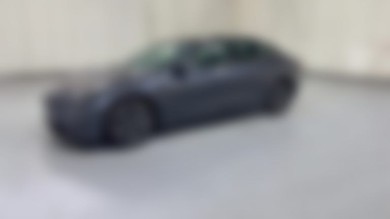 2021 Tesla Model 3 vehicle photo