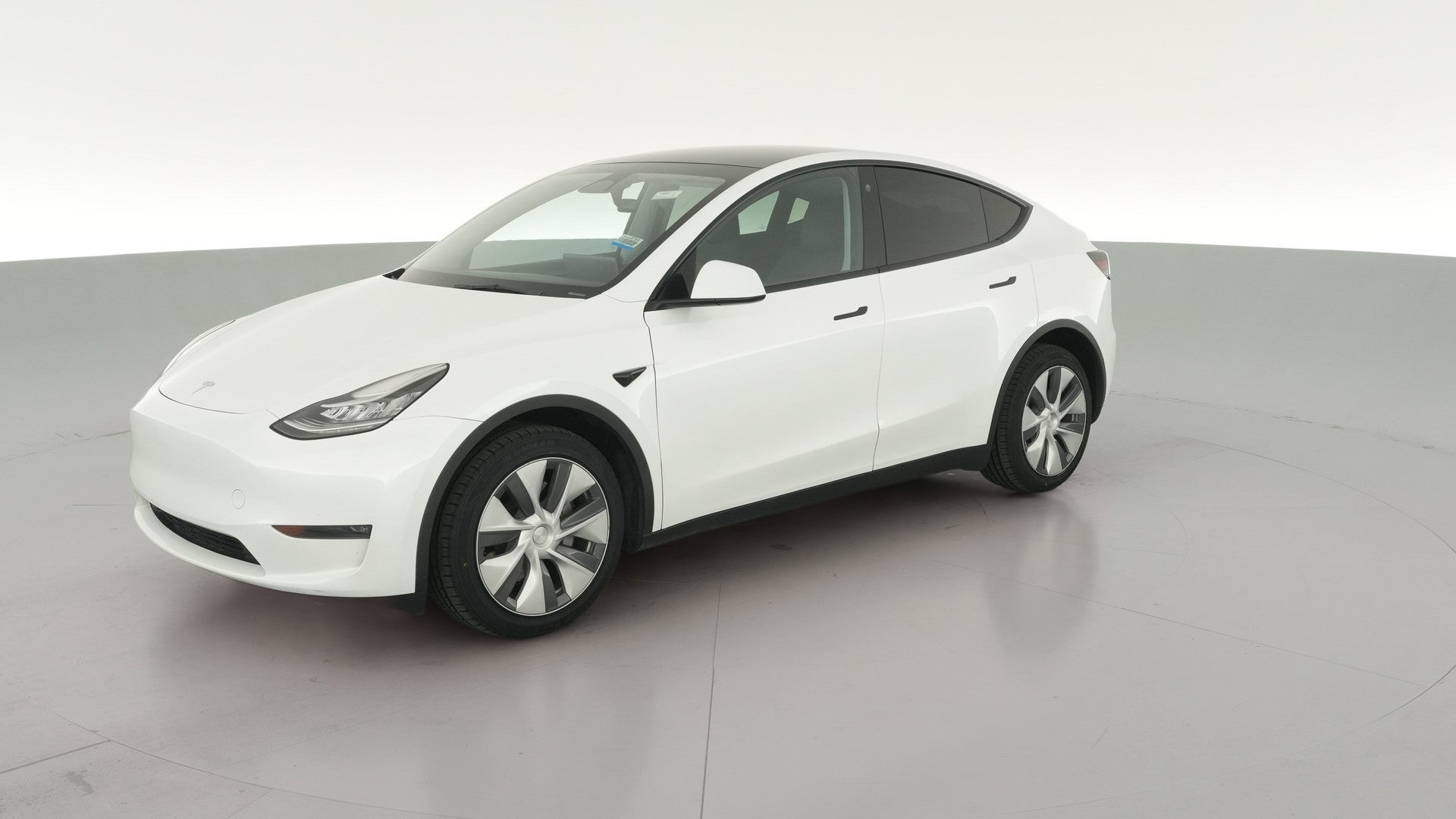 2023 Tesla Model Y vehicle photo