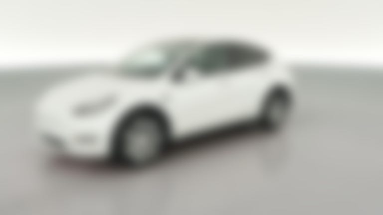 2023 Tesla Model Y vehicle photo