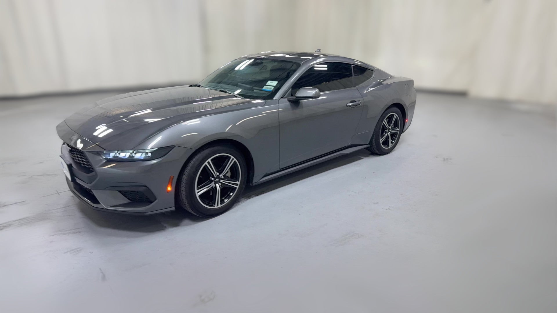 2025 Ford Mustang vehicle photo