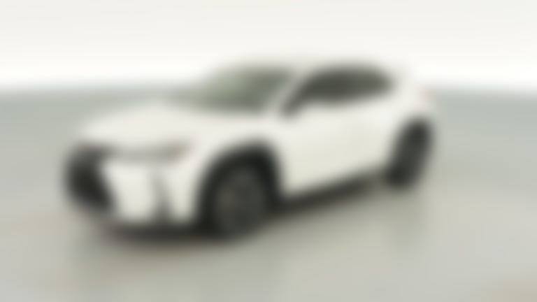 2020 Lexus UX vehicle photo