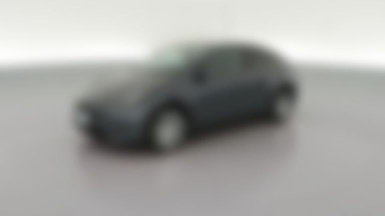 2023 Tesla Model Y vehicle photo