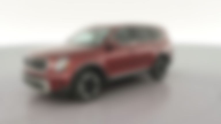 2023 Kia Telluride vehicle photo