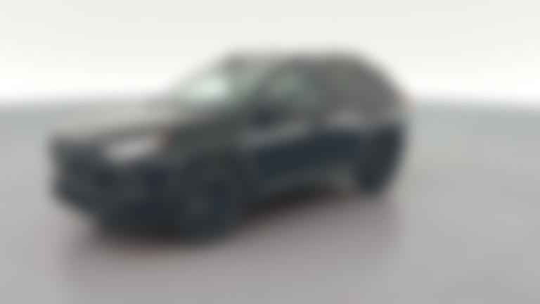 2020 Toyota RAV4 vehicle photo