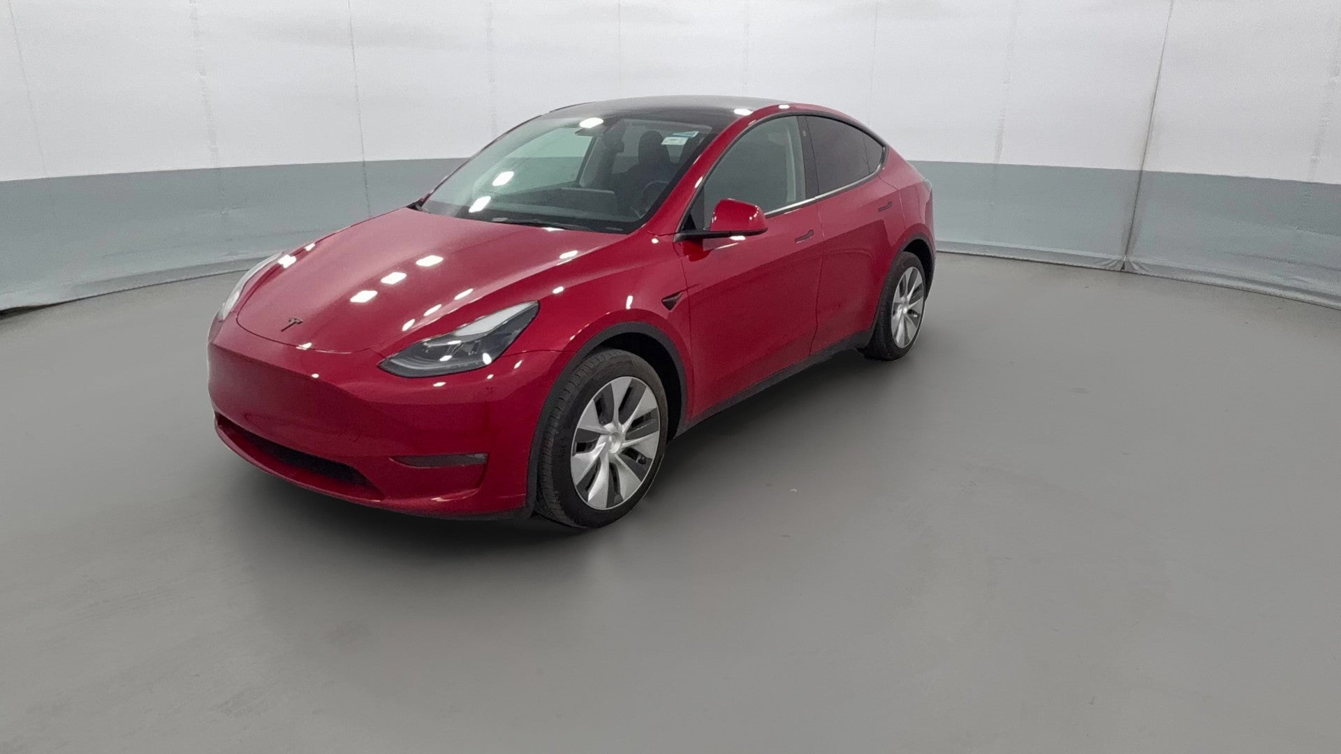 2023 Tesla Model Y vehicle photo
