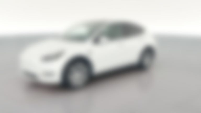 2023 Tesla Model Y vehicle photo