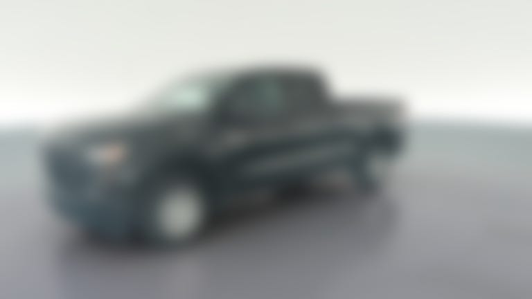 2023 Chevrolet Silverado 1500 Double Cab vehicle photo