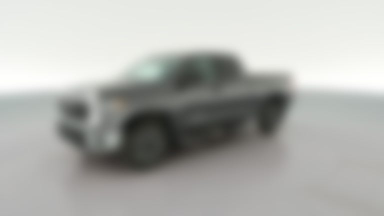2019 Toyota Tundra Double Cab vehicle photo