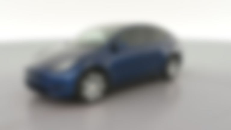 2021 Tesla Model Y vehicle photo