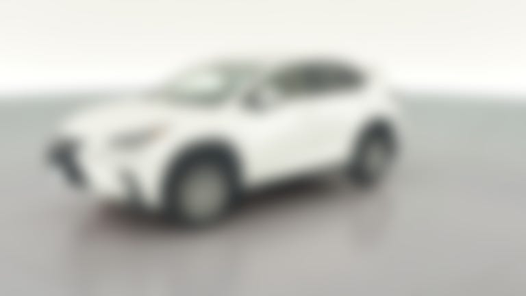 2020 Lexus NX vehicle photo