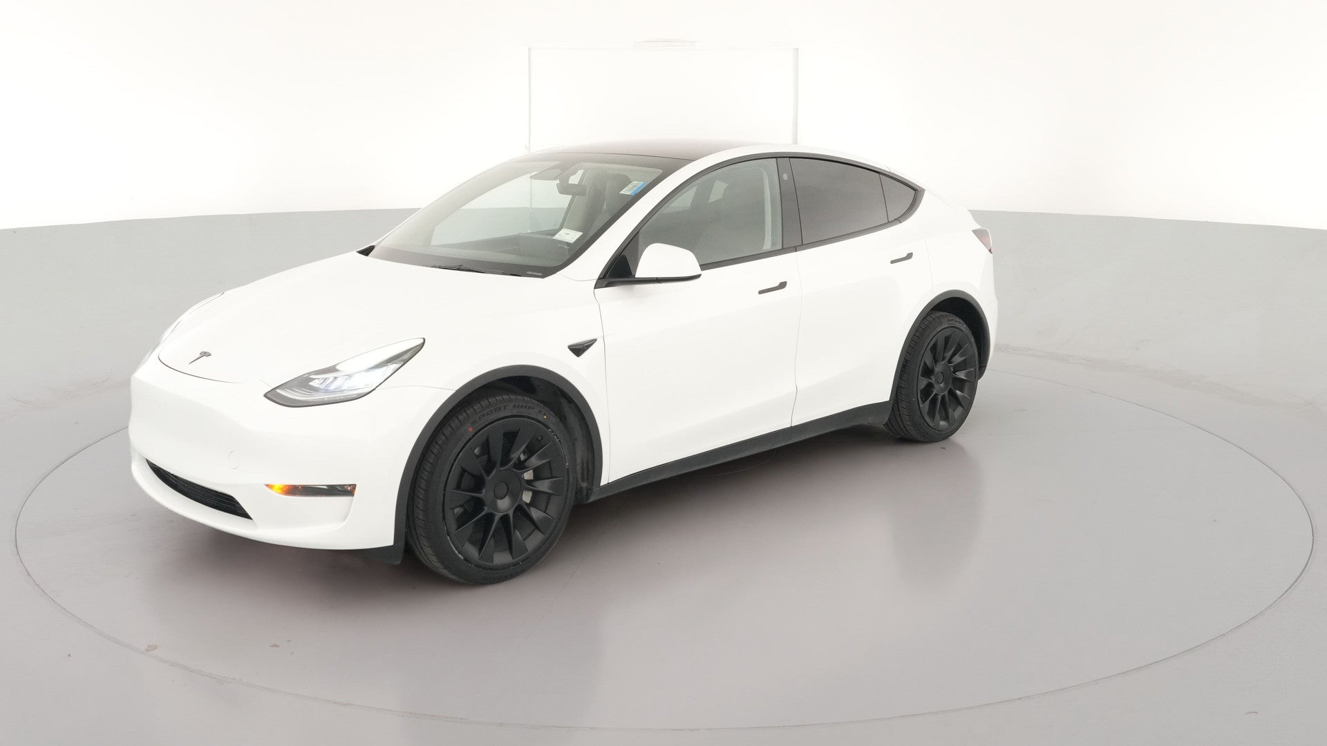 2023 Tesla Model Y vehicle photo