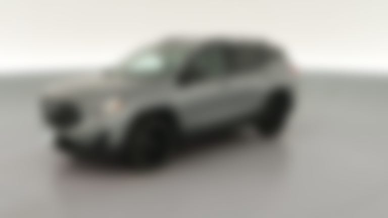 2020 GMC Terrain vehicle photo