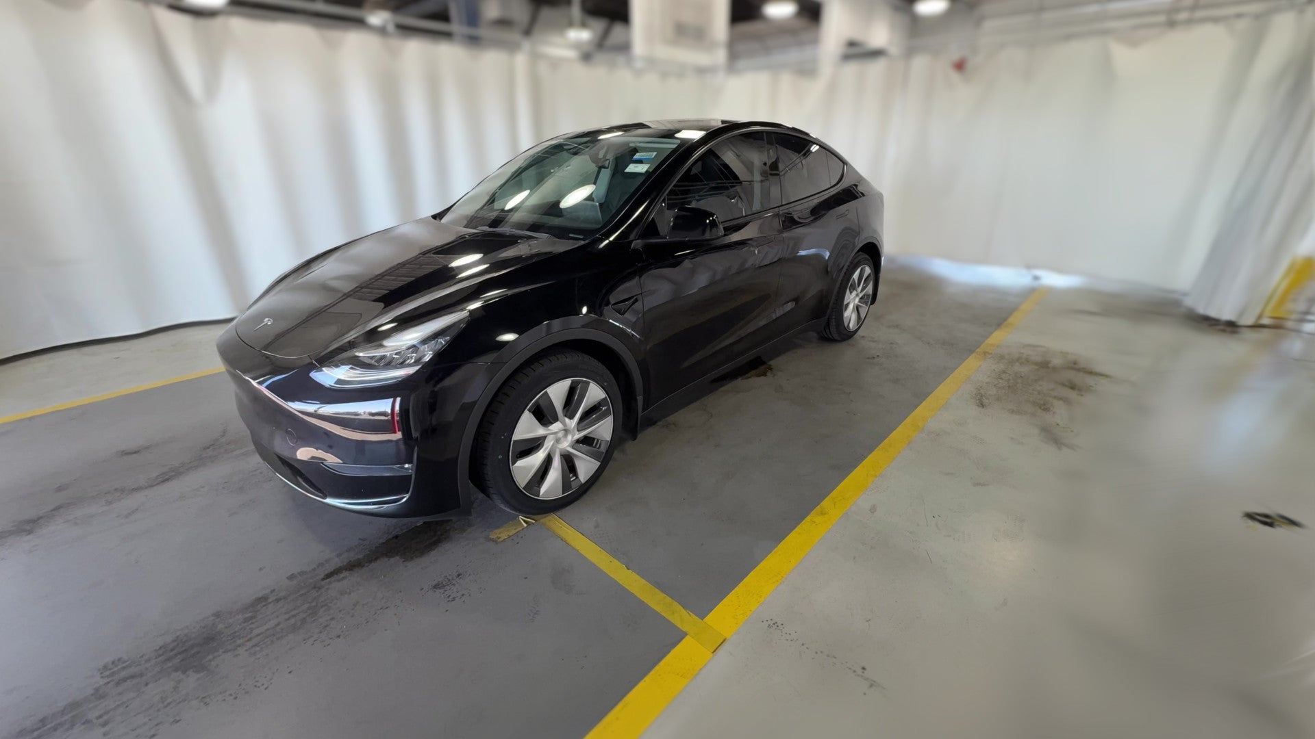2023 Tesla Model Y vehicle photo