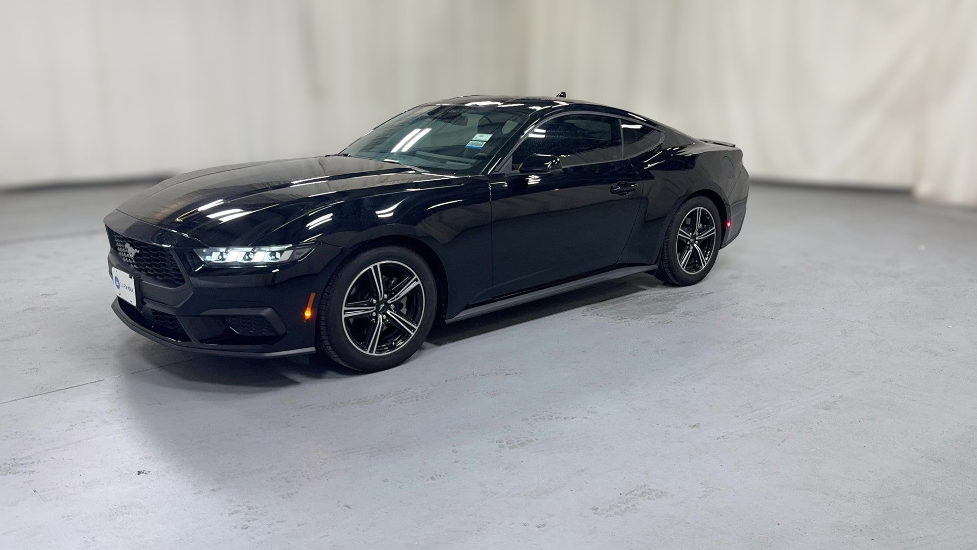 2024 Ford Mustang vehicle photo