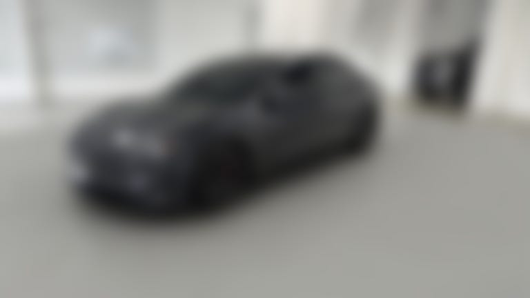 2024 Tesla Model 3 vehicle photo