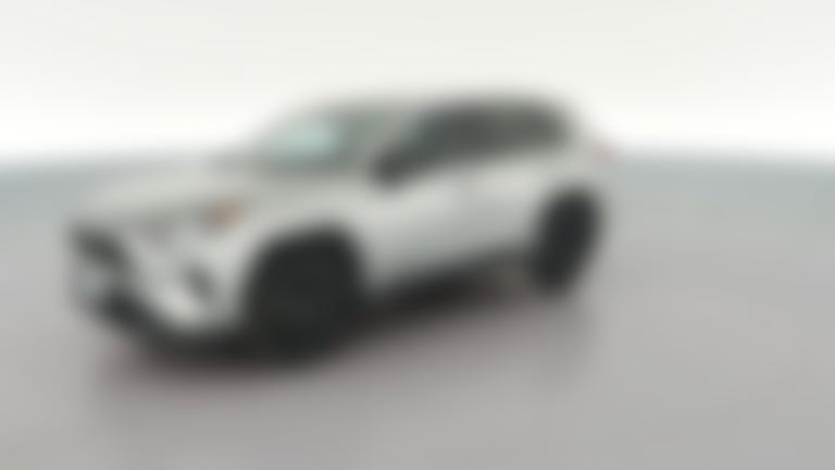 2022 Toyota RAV4 vehicle photo