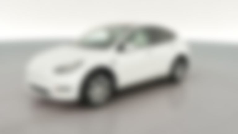 2023 Tesla Model Y vehicle photo