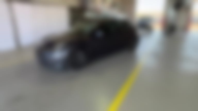 2021 Tesla Model 3 vehicle photo