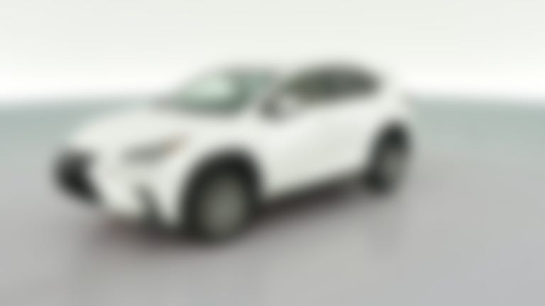 2019 Lexus NX vehicle photo