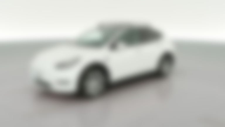 2021 Tesla Model Y vehicle photo