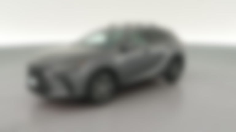 2023 Lexus RX vehicle photo