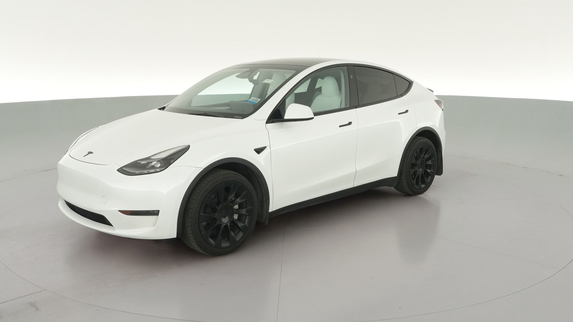 2023 Tesla Model Y vehicle photo