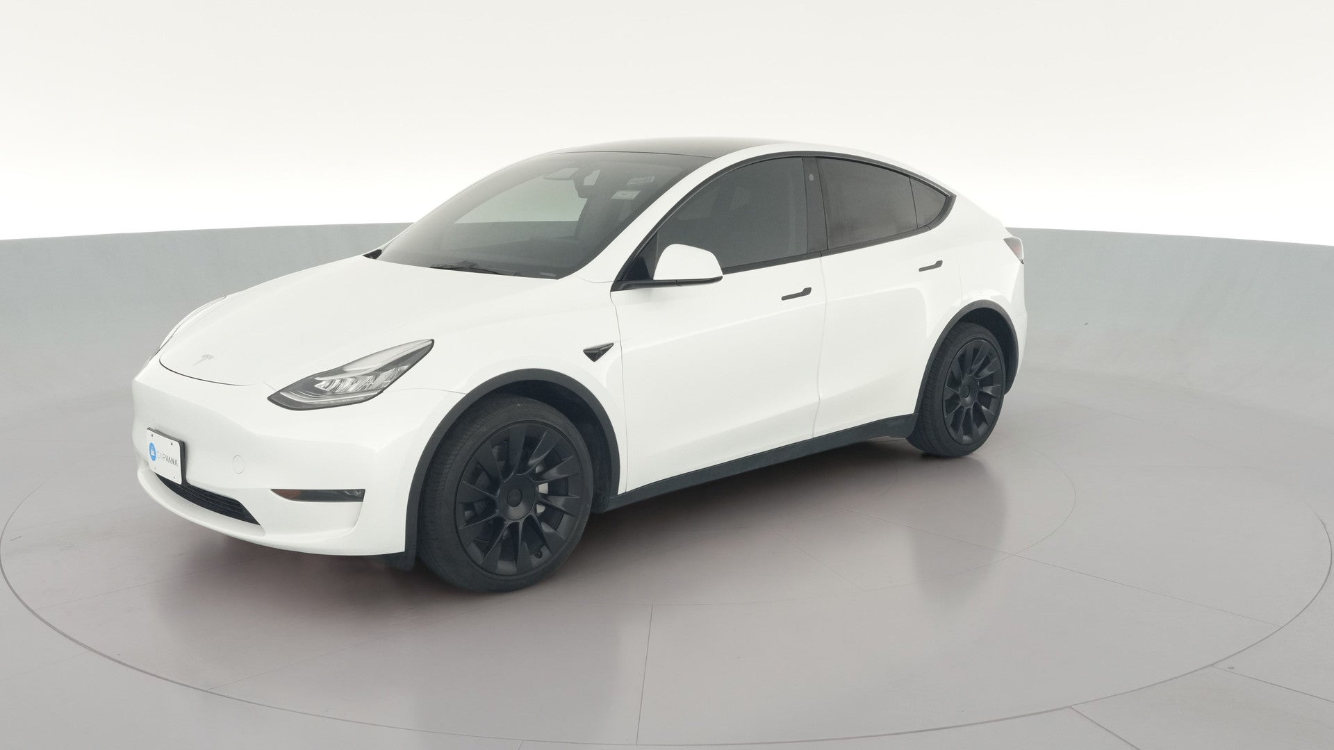 2023 Tesla Model Y vehicle photo