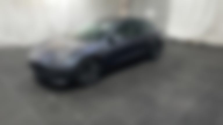 2021 Tesla Model 3 vehicle photo