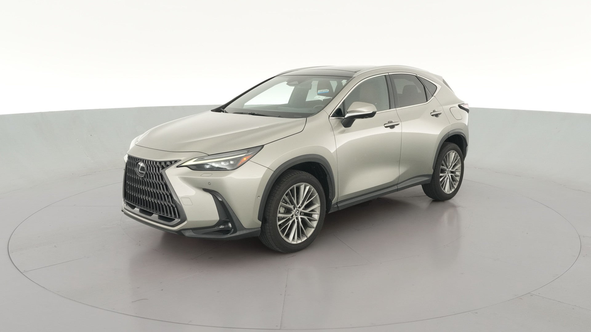 2023 Lexus NX vehicle photo