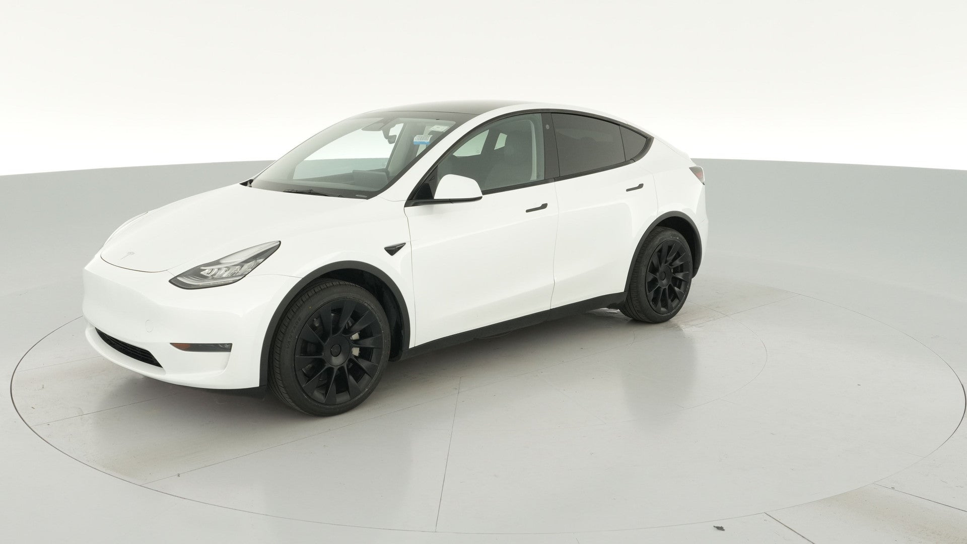 2023 Tesla Model Y vehicle photo