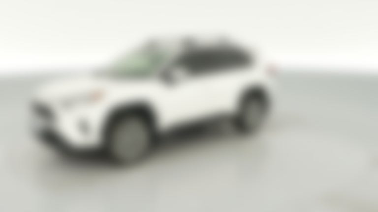 2019 Toyota RAV4 vehicle photo