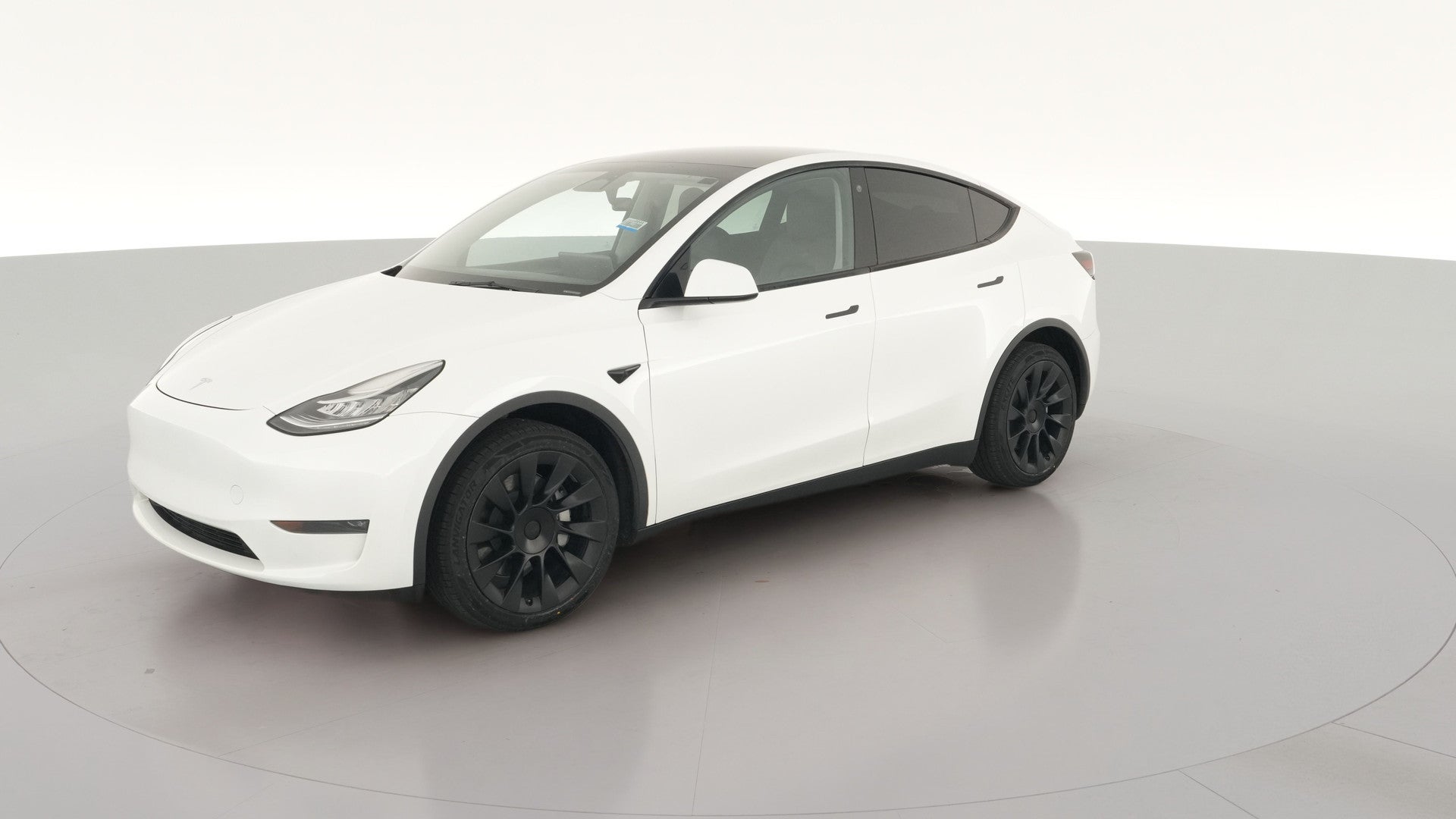 2023 Tesla Model Y vehicle photo