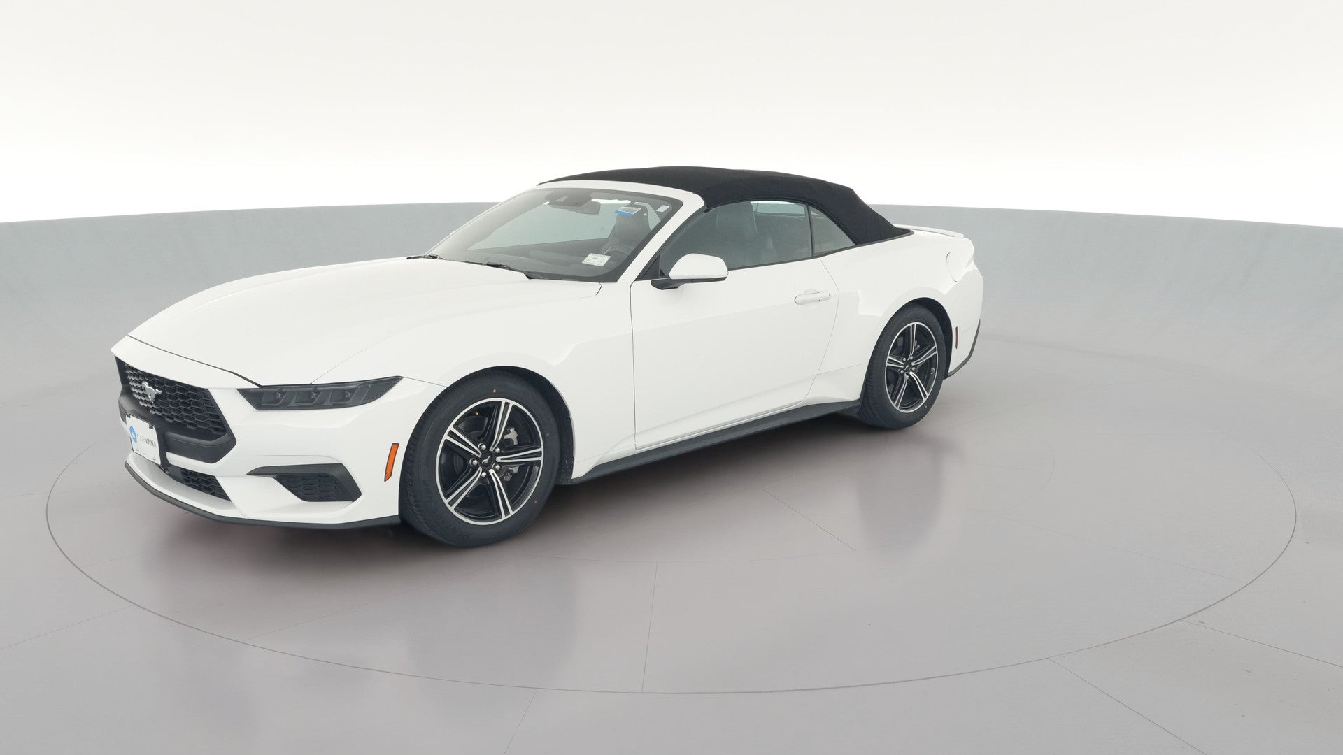 2025 Ford Mustang vehicle photo