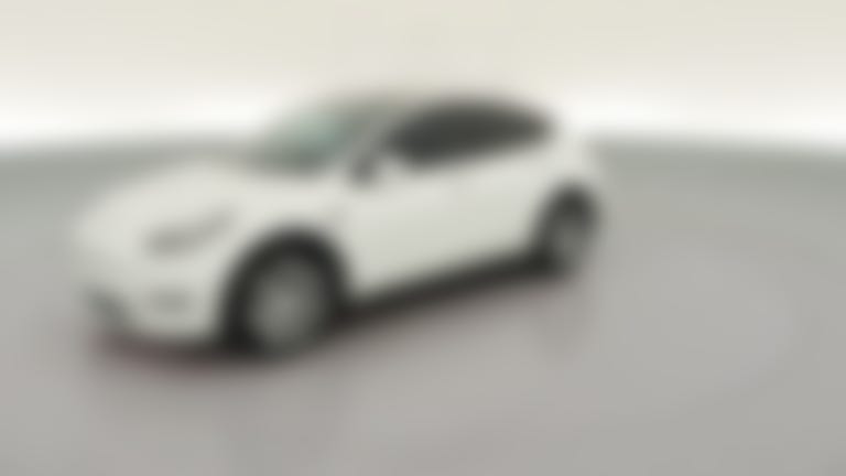 2023 Tesla Model Y vehicle photo