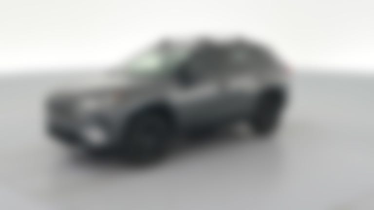 2019 Toyota RAV4 Hybrid vehicle photo