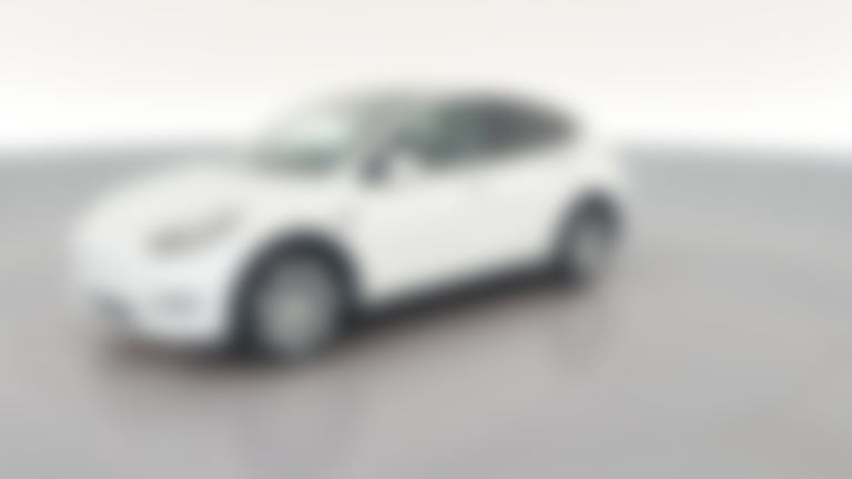 2023 Tesla Model Y vehicle photo