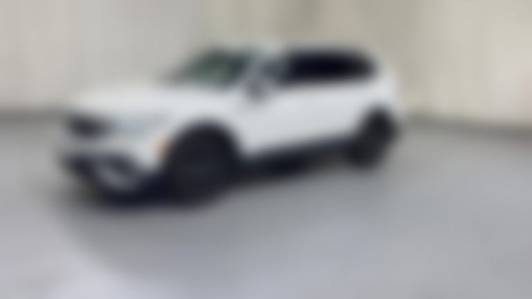 2024 Volkswagen Tiguan vehicle photo