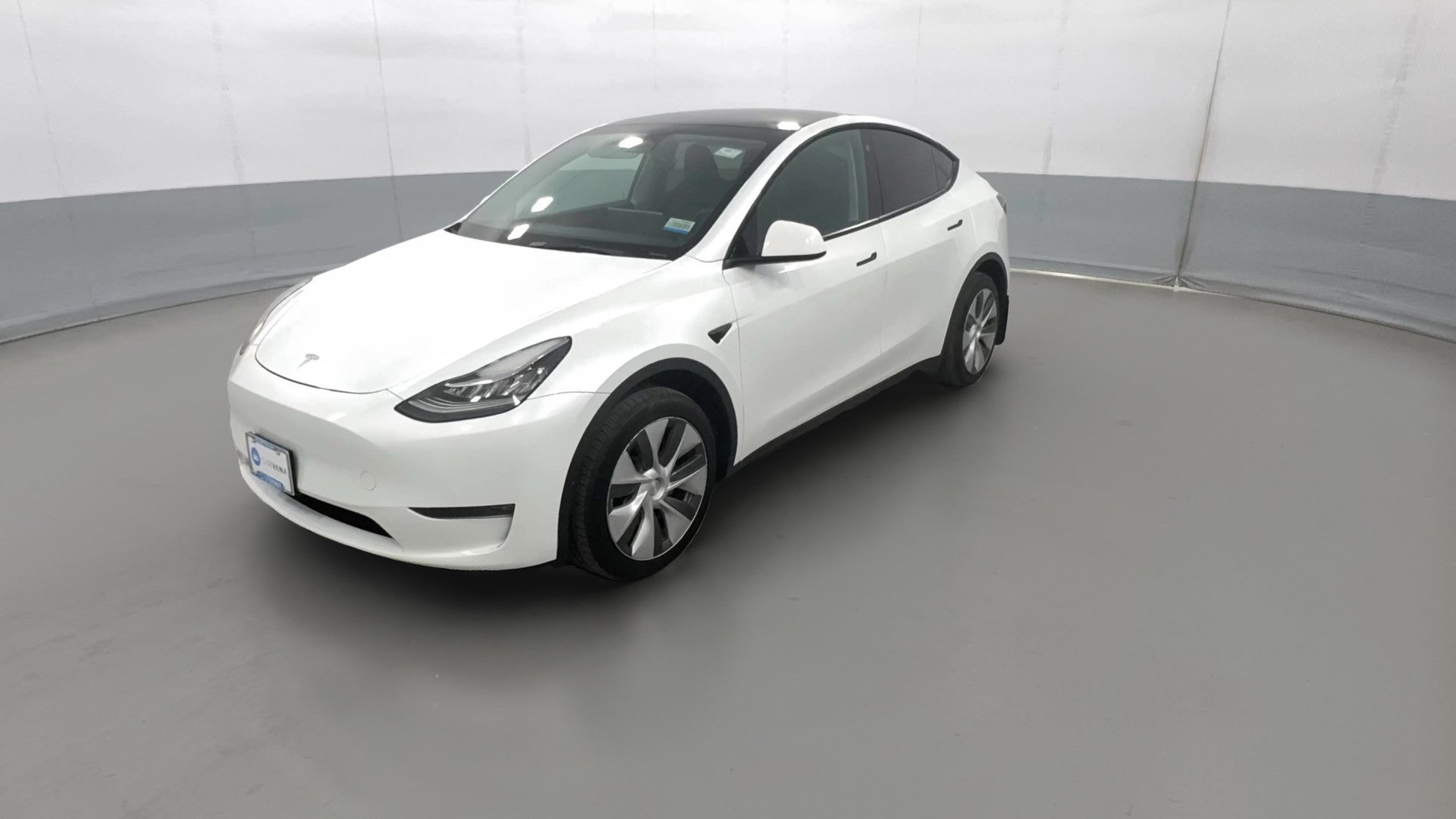 2023 Tesla Model Y vehicle photo
