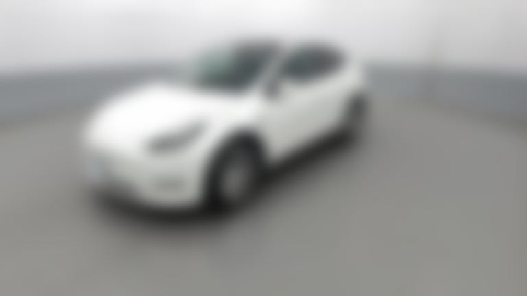 2023 Tesla Model Y vehicle photo