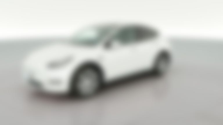 2020 Tesla Model Y vehicle photo