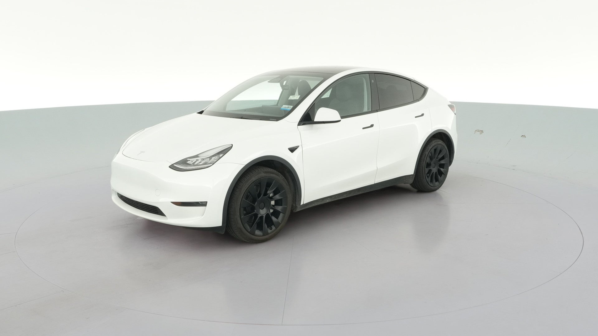 2023 Tesla Model Y vehicle photo
